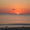 IMG_03061 1 1
