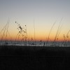 IMG_0316