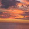 IMG_0380-1