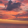 IMG_0384-1
