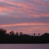 IMG_1036
