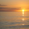 IMG_1357